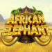 slot African Elephant
