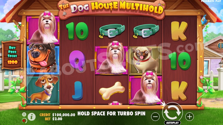recensione slot The Dog House Multihold