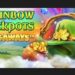 slot Rainbow Jackpots Megaways